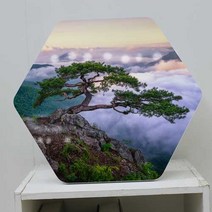 af328-폼아크릴액자38CmX34Cm6각형_무병장수의상징소나무, 2.장수