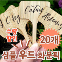 심플 우드 식물 이름표 라벨 화분 꾸미기, 20개 (개당 645원)
