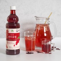 자연초 산수유청 900ml 산수유원액 산수유엑기스, 2개