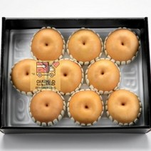 추석선물세트 실속형 배 추석선물 명절 선물세트