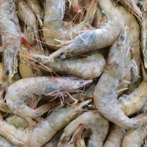 냉동 다이아몬드 흰다리새우 도매용 12kg [에콰도르]