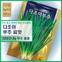 23년산 다조아 부추 씨앗 8g