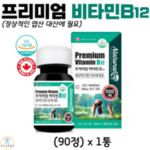 캐나다 직수입 프리미엄 비타민B12 90정 정상적인 엽산 대사에필요 동물성 식품 섭취를 제한하는 채식주의자 식약청 인증 건강기능식품, 1통