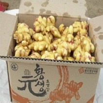 황생원 2023년 햇생강 세척생강 1 kg