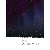 숨어 빛나는 것들:선우 시집, 이룸나무, 선우 저