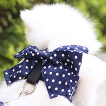 멍데이 강아지 땡땡이 레이스 리본 하네스, 블루