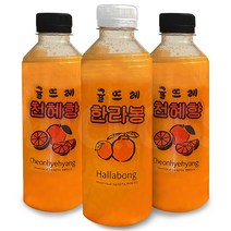 [애드크로스] 귤뜨레 제주 한라봉 천혜향 착즙 100% 원액 감귤 주스 과일 쥬스 340ml 12병