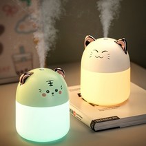 무드등 가습기 다채로운 분위기의 새로운 데스크탑 250ml 용량 콜드 홈 침실 정화, 없음