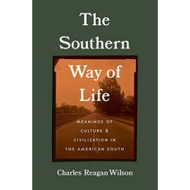 The Southern Way of Life: Meanings of Culture and Civilization in the American South [Hardcover]