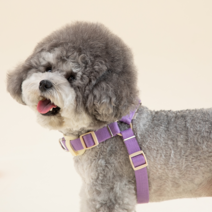 힛찌 초경량 강아지하네스 이지워크 Y형 앞섬방지 앞고리 L자하네스 초소형견 소형견 중형견 가슴줄, 네츄럴베이지