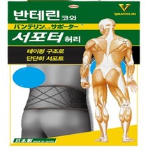 (리뉴얼) 반테린코와 서포터 불편함을 잡아주는 허리 보호대 (M L XL), 1개