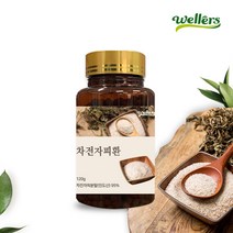 [웰러스] 차전자피환 1병 120g (1개월분) / 인도산 차전자피 분말 95% 식이섬유 84%, 1통