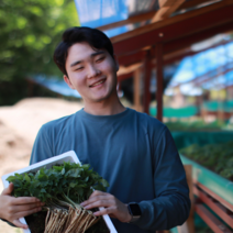 청춘농원 산양새싹인삼, 1box, 중50개