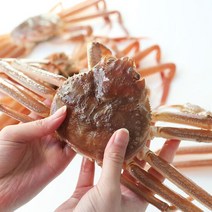[생산자직송] 동해 묵호항 임창목선주의 활 대게 2kg, 단품