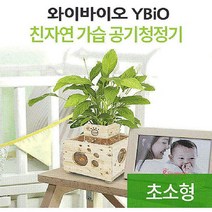 우즈에어화분 히노끼 산소발생 원목 가습기 어항 편백나무rst369, SPRg_화분+자갈+식물(관음죽)