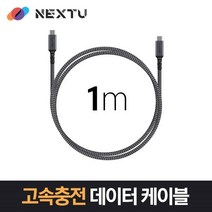 이지넷C to C 고속충전케이블 (NEXT-1715CC-100W 1m)