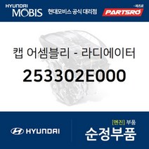 캡-라디에이터 (253302E000) 현대모비스 부품몰 아반떼XD 투싼