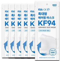 에어엠 보건용 마스크 KF94 특대형, 화이트, 6개, 5매입