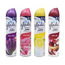 방향 참숯 그레이드 탈취제 320ml -TJ