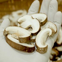 옛산골농장 생표고버섯 국산 유기농 무농약 특상품 500g 생슬라이스 표고버섯, 1팩