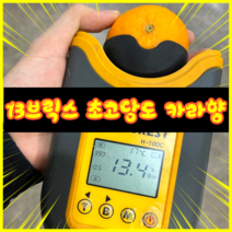 제주 카라향 상품 선물용 13브릭스이상 산지직송 감귤, 10kg, 1개