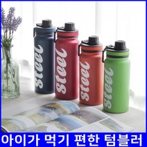 가방속 넣어도 새지않는 보온병 보온병추천 국민사이즈 20대학생, 아무르보틀760ml(레드)