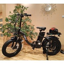 배달 전기자전거 .인치 접이식 전기 자전거 중립 해변 눈, 01 black, 01 250W Motors