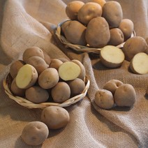 친환경 마음밭 국내산 23년 수확 수막 하우스 햇 수미 무농약 감자 3kg 5kg, 수미감자(대) 3kg