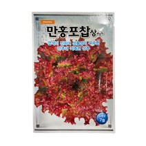 만홍포찹 상추 씨앗 7g [22년포장] 만추대 적축면 상추 종자