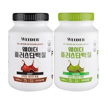 웨이더 플러스 프로틴 단백질 근육 보충제 먹기 편한 초코맛 대용량 1 020g