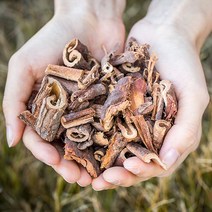 국산 유근피 (느릅나무껍질) 200g 느릅나무 뿌리 껍질 차 약초 한방재료 한약재, 12W5_국산유근피절 (느릅나무뿌리껍질)200g, 12W5_국산 유근피절(느릅나무뿌리)200g