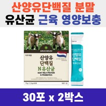 분리 유청단백 프로틴 BCAA 아르채움 산양유 단백질 엔 유산균 30포 스틱 먹는 법