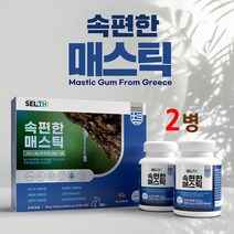 식약처인증 매스틱 검 껌 메스틱 분말 가루 정 알약 타입 위건강엔 그리스 키오스 원물 천연 수지 추출물 식약청 해썹 인정 식물성 혼합 양배추 브로콜리 감초 22종 유산균 효능 추천, 2통