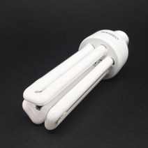 오스람 듀럭스타 20W 삼파장 램프 장미전구, 주광색