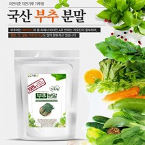 국산 부추분말 200g 채소 야채 건강 천연 조미료 가, 상세페이지 참조
