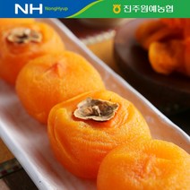 (농협) 지리산 산청 반건시 10구 800g(400g+400g), 2개