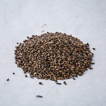 봉래 구수한 향 결명자 100g 25개입 BOX/한방/건강/약초/약재 식품 > 커피/차 티/전통차 기타전통차 기타전통차류, 1개” class=”wr-img”></a></div></p></div></p></div></p></div><div class=