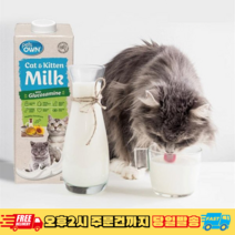 [설날 할인] 호주 젖소원유 프리미엄 펫밀크 펫츠온 캣앤키튼 멸균우유 1리터, 2팩