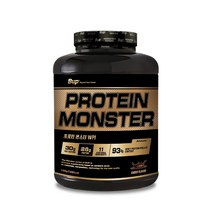 BUP 프로틴몬스터 WPI 93% 초코맛 헬스보충제 단백질보충제, 1통, 2kg