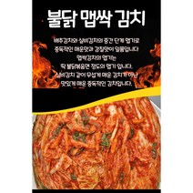(맛담 김치) 불닭 맵싹 배추(포기)김치 3kg/5kg/10kg/해남배추(봄/가을/겨울)/강원도 고랭지배추(여름)/저염김치, 3kg