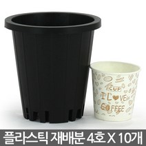 플라스틱 화분 녹차 재배분 5호(10개) - 플분 양란 난화분 란화분 난재배분 양란화분 난재배 녹차재배분 긴화분, 01_청운_재배분(4호) X 10개