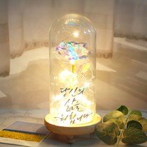발트728 문구제작 홀로그램장미 기념일 선물 LED유리돔 글라스돔, 작은아이/홀로그램장미/아빠사랑해요