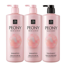 미쟝센 펄 샤이닝 샴푸+트리트먼트 1000ml, 피오니향(샴푸2+트리트먼트1)