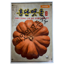 홍단 맷돌호박 씨앗 10립 과육이 단단하고 단맛 많은 모양좋은 조선호박 종자 제농