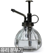 레트로 미니 유리 분무기 - 미니 식물 화분 선인장 다육 분재 난 원예용 인테리어, Sein_Retro분무기(화이트)