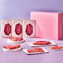 미쓰하누 1++(9)암소한우 선물세트 꽃등심 채끝 부채살 갈비살 구이모듬, 시그니처 1호 지함선물포장, 1kg