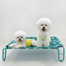 유앤펫 강아지 고양이 슬립 스탠드 해먹M(null), 오렌지