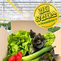 당일수확 연중생산 쌈채소 유럽 샐러드 채소 로메인 버터헤드 임펄션 코스테우 적버터헤드 1kg (5종 랜덤발송) 추가옵션 딸기 오이 파프리카, 샐러드박스기본, 오이1개, 용기 나이프 포크 추가