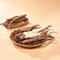 횡성 햇 흙더덕 특 500g(담금주용), 1개