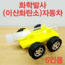화학반응 이산화탄소 자동차 5인용